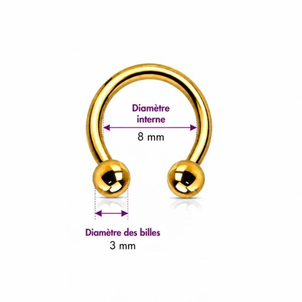 Piercing Fer à Cheval Titane Doré Anodisé à Filetage Interne 16G 8 mm Piercing Fer à Cheval Titane Doré Anodisé à Filetage Interne 16G 8 mm