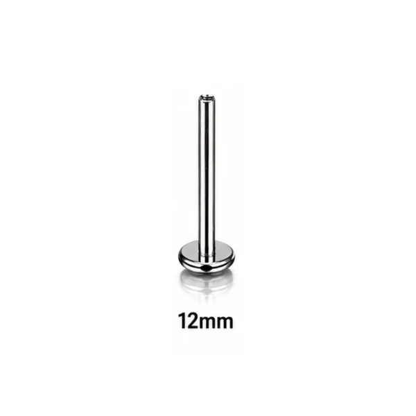 Tige Piercing Labret 12 mm Titane ASTM-F136 16G à Filetage Interne Tige Piercing Labret 12 mm Titane ASTM-F136 16G à Filetage Interne.