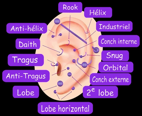 Schéma Noms et Emplacements Piercings Oreilles.