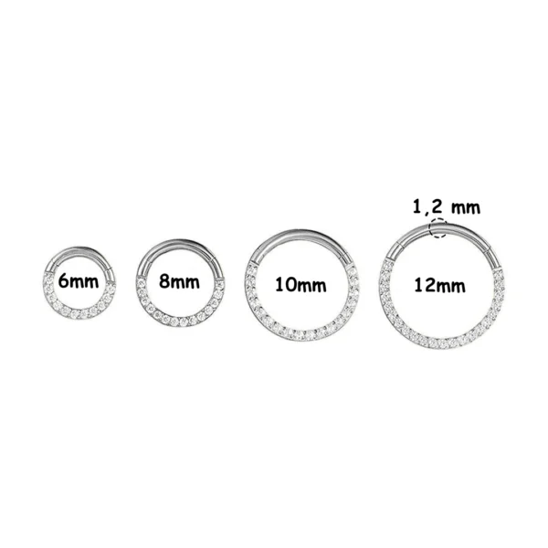 Anneau Charnière Titane à Arc Pavé de Zirconiums 6-12 mm (dimensions) Anneau Charnière Titane à Arc Pavé de Zirconiums 6-12 mm (dimensions).