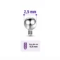 Embout Piercing Bille 2,5 mm en Titane Pas de Vis 0,9 mm.