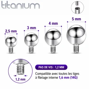 Embout Piercing Bille en Titane Pas de Vis 1,2 mm.