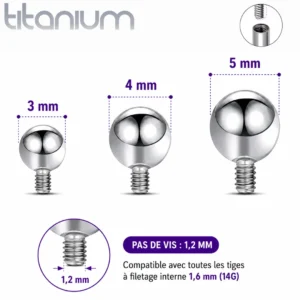 Embout Piercing Bille en Titane Pas de Vis 1,2 mm.