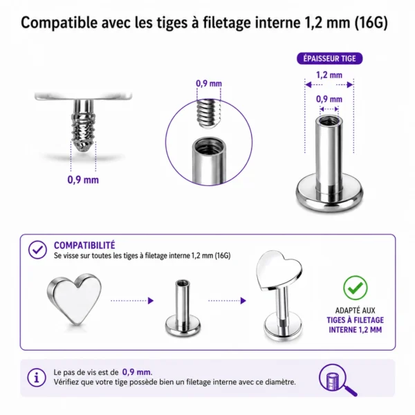 Embout Piercing Cœur en Titane (compatibilité) Embout Piercing Cœur en Titane (compatibilité).