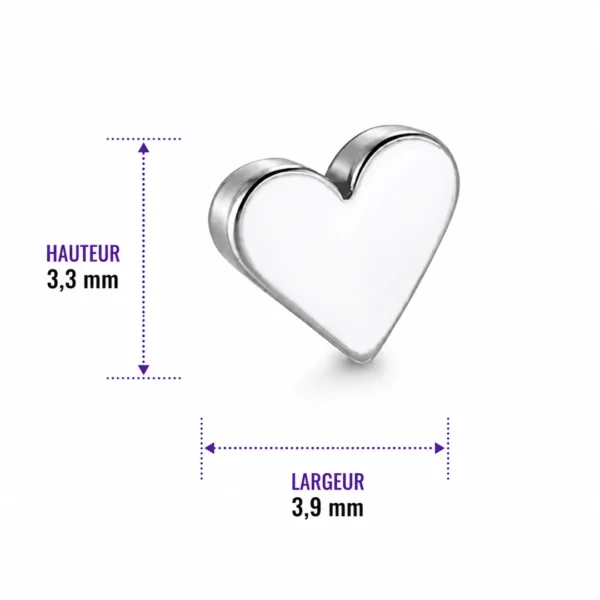 Embout Piercing Cœur en Titane (dimensions) Embout Piercing Cœur en Titane (dimensions).