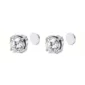Faux Piercing Aimanté Oreille Zircon (variante couleur blanc)