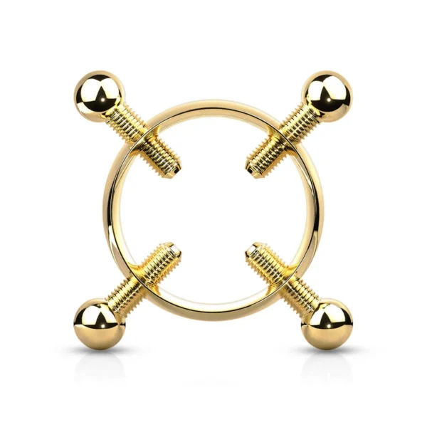 Faux Piercing Téton en Acier à Vis de Serrage (variante couleur doré PVD) Faux Piercing Téton en Acier à Vis de Serrage (variante couleur doré PVD).