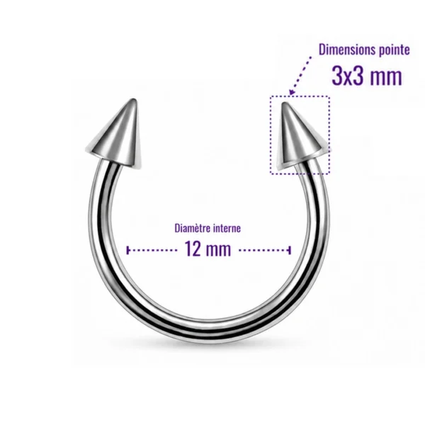 Piercing Fer à Cheval 12 mm à Pointes Coniques Titane Piercing Fer à Cheval 12 mm à Pointes Coniques Titane.