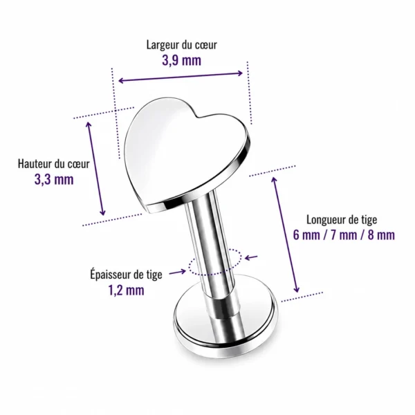 Piercing Labret Cœur en Titane Oreille Lèvre (dimensions) Piercing Labret Cœur en Titane Oreille Lèvre (dimensions).