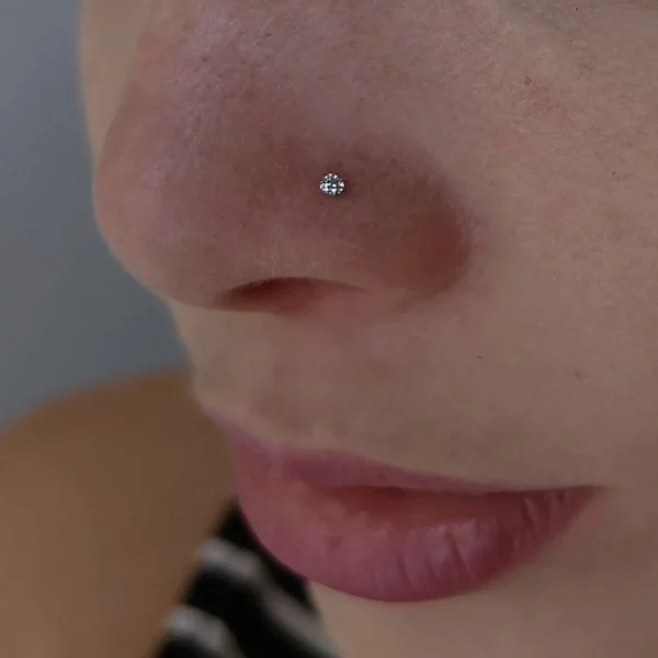 Piercing Narine Stud en U en Titane Éclat du Crépuscule (narine)