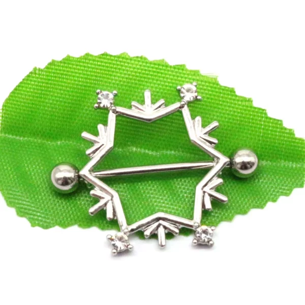 Piercing Téton Barbell Flocon en Acier avec Zircons (expo) Piercing Téton Barbell Flocon en Acier avec Zircons (expo).