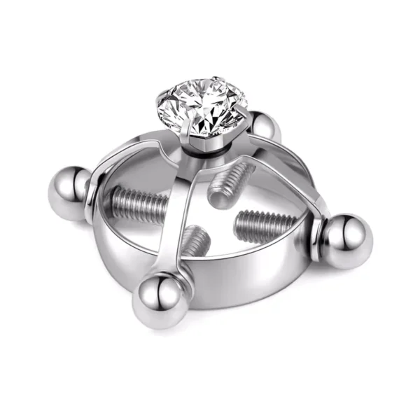 Faux Piercing Téton à Vis de Serrage Sublimé par un Zircon (variante couleur acier brut) Faux Piercing Téton à Vis de Serrage Sublimé par un Zircon (variante couleur acier brut).