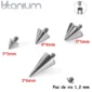Pointe Remplacement Piercing en Titane - Pas de Vis 1,2 mm.