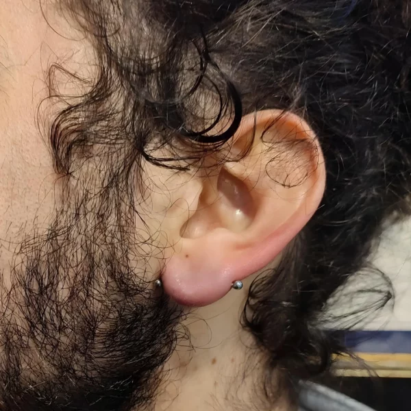 Homme portant un Piercing Barbell en Titane au Lobe Transversal.