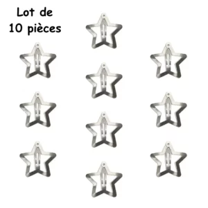 10 Barrettes Étoile en Acier Inoxydable pour Filles et Femmes.