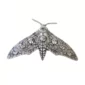 Barrette Cheveux Papillon de Nuit Lunaire en Acier.