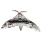 Barrette Papillon de Nuit Lunaire à Clip Pression pour Cheveux.