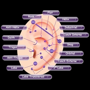 Piercings oreille navigation interactive.