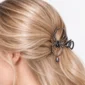Pince à Cheveux Araignée Zircons & Perles en Acier Noir PVD.