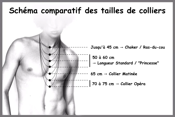 Schéma comparatif des tailles de colliers.