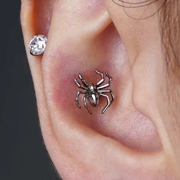 Homme portant un Piercing Labret Araignée Réaliste en Titane Poli au Conch Interne Homme portant un Piercing Labret Araignée Réaliste en Titane Poli au Conch Interne.