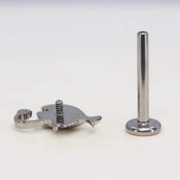 Piercing Poisson Lanterne en Titane avec Labret à Filetage Interne Piercing Poisson Lanterne en Titane avec Labret à Filetage Interne.