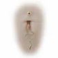 Nombril Femme avec un Piercing Serpent Pavé de Zircons en Titane Anodisé Doré.
