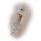 Nombril Homme avec un Piercing Serpent Pavé de Zircons en Titane Brut.