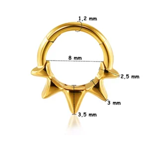 Piercing Anneau Clicker 5 Pointes Sculptées - Septum & Daith (variante doré PVD 8 mm).