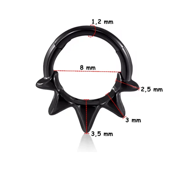 Piercing Anneau Clicker 5 Pointes Sculptées - Septum & Daith (variante noir PVD 8 mm) Piercing Anneau Clicker 5 Pointes Sculptées - Septum & Daith (variante noir PVD 8 mm).
