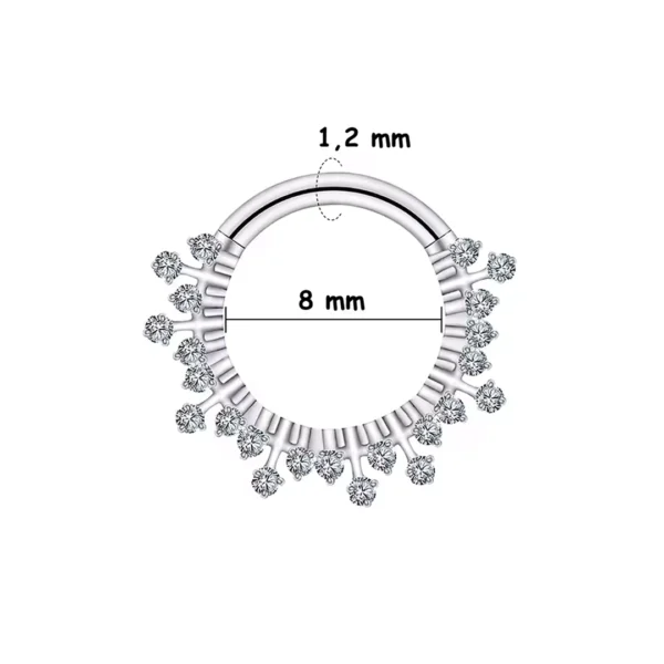 Piercing Anneau Clicker Titane à Frise Lumineuse (variante 8 mm gris argenté) Piercing Anneau Clicker Titane à Frise Lumineuse (variante 8 mm gris argenté).