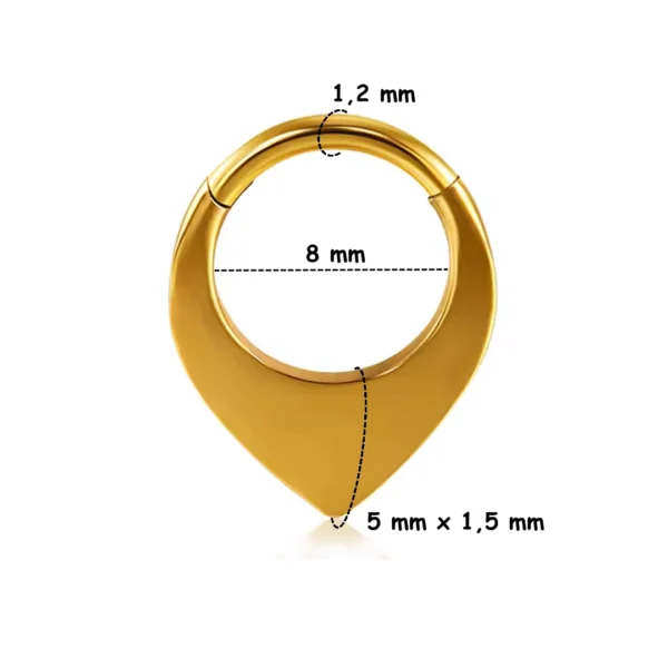 Piercing Anneau Clicker Triangle Plein - Septum & Daith (variante doré PVD 8 mm) Piercing Anneau Clicker Triangle Plein - Septum & Daith (variante doré PVD 8 mm).
