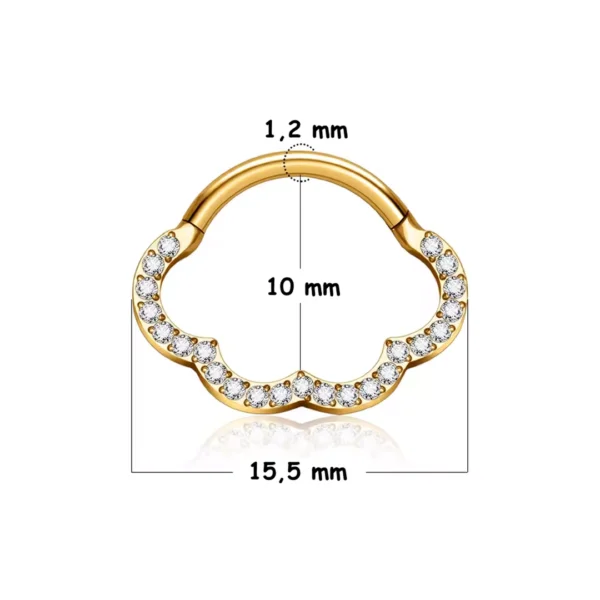 Piercing Nuage Étincelant en Titane ASTM-F136 à Charnière (variante 10 mm anodisé doré) Piercing Nuage Étincelant en Titane ASTM-F136 à Charnière (variante 10 mm anodisé doré).