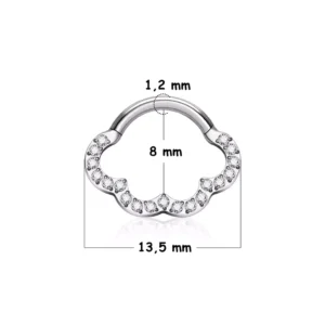 Piercing Nuage Étincelant en Titane ASTM-F136 à Charnière (variante 8 mm gris argenté).