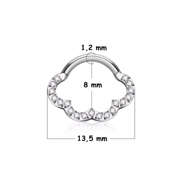 Piercing Nuage Étincelant en Titane ASTM-F136 à Charnière (variante 8 mm gris argenté) Piercing Nuage Étincelant en Titane ASTM-F136 à Charnière (variante 8 mm gris argenté).