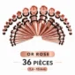 Kit Stretching Oreille Acier 316L Or Rose PVD Tapers & Tunnels 1,6-10mm.