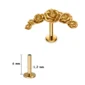 Piercing Arc de Roses Sculptées à Tige Labret Titane Anodisé Doré (variante 6 mm).