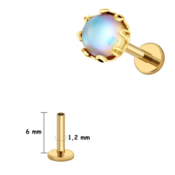 Piercing Labret Titane à Pierre Opalite Sertie d'une Couronne (variante anodisé doré 6 mm) Piercing Labret Titane à Pierre Opalite Sertie d'une Couronne (variante anodisé doré 6 mm).
