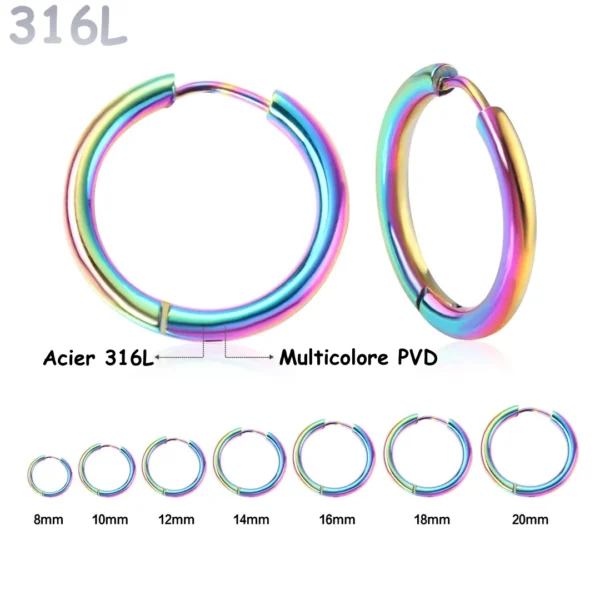 Boucles d'Oreilles Créoles en Acier 316L Multicolore PVD 8-20 mm Boucles d'Oreilles Créoles en Acier 316L Multicolore PVD 8-20 mm.