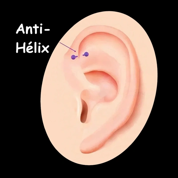 Piercing Anti-Hélix (Forward Helix) - Cartilage.