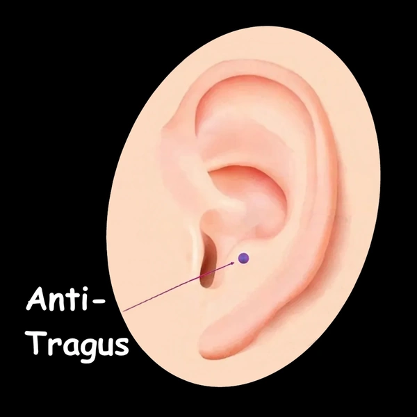 Piercing Anti-Tragus - Bijoux Cartilage Inférieur.
