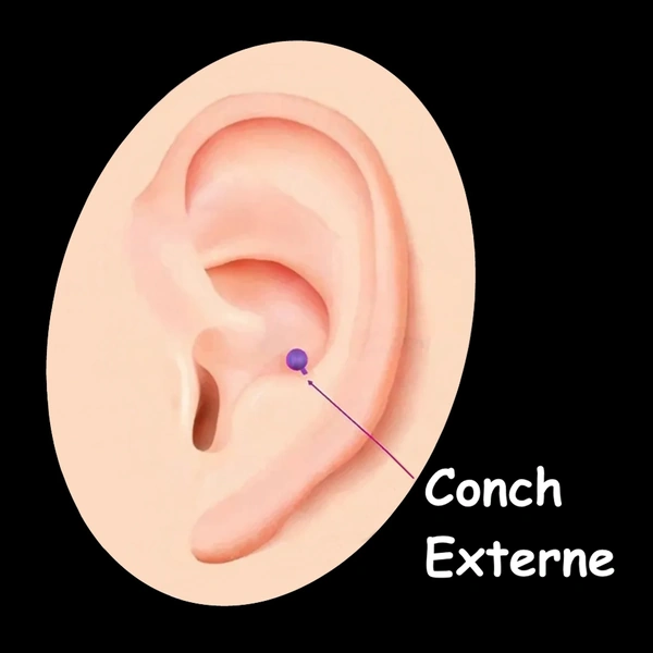 Piercing Conch Externe - Bijoux Cartilage Latéral.