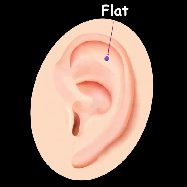 Piercing Flat (Flat Helix) - Bijoux Cartilage Plat.