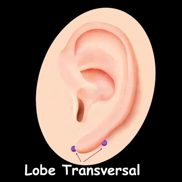 Piercing Lobe Transversal - Bijoux Horizontaux d’Oreille.