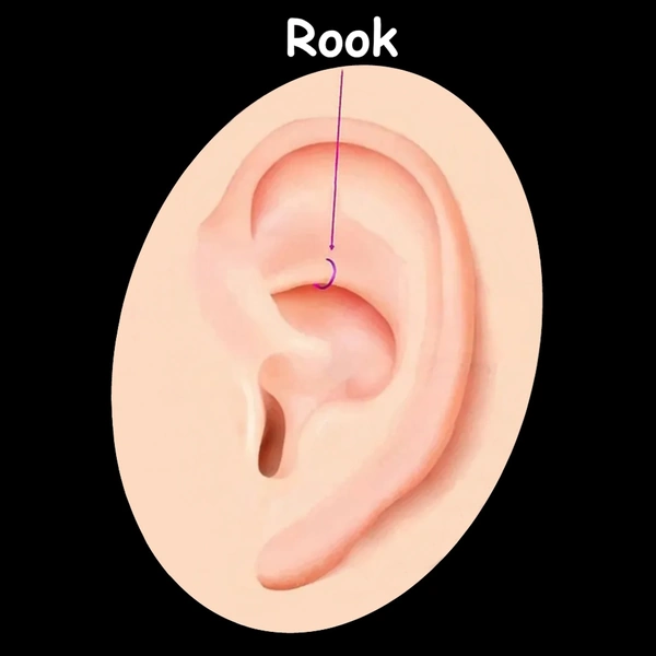 Piercing Rook - Bijoux Cartilage Interne Supérieur.