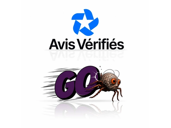 Avis clients GOTIQUE - Expérience d'achat et fiabilité.