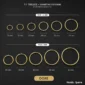 Faux Piercing Grandes Boucles d'Oreilles Créoles 11-60 mm Acier 316L Doré PVD